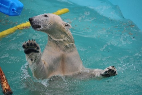 １０月２３日～おびひろ動物園・イコロ～１２時台から１４時台