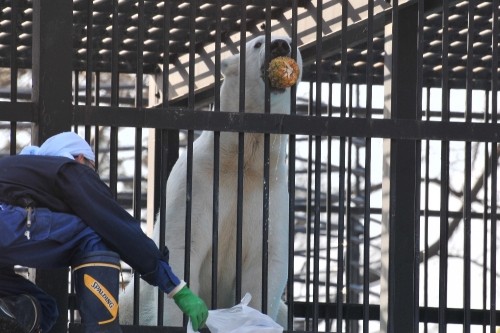 ４月８日～おびひろ動物園・イコロ＆アイラ・３