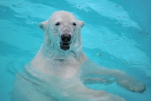 ６月２日～おびひろ動物園・イコロ＆アイラ～１１時台から１４時台