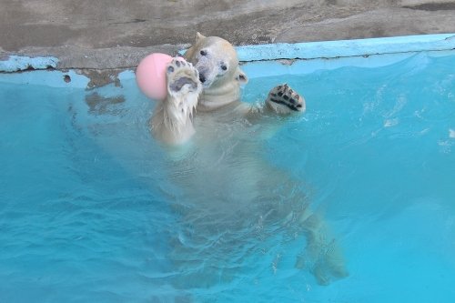 １１月２５日～浜松市動物園・キロル～１３時台から１５時台