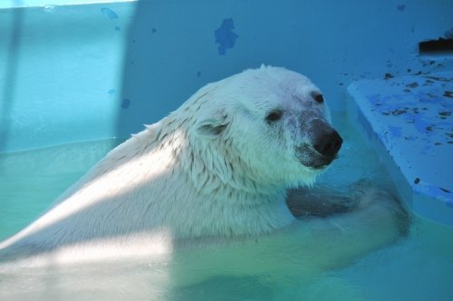 ６月２３日～おびひろ動物園・イコロ＆アイラ～１１時台以降