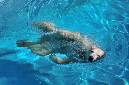 ９月２４日～浜松市動物園・キロル～開園から１１時台