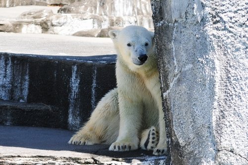 ９月２４日～浜松市動物園・キロル～１１時台から閉園まで