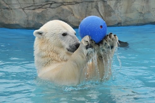 ４月６日～円山動物園・ララ～１５時台