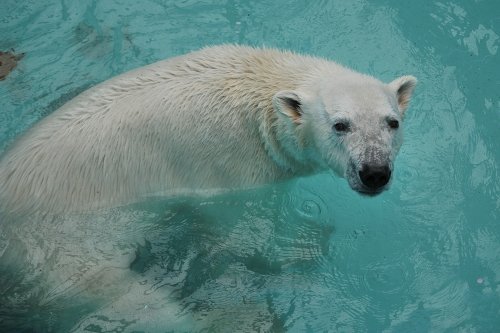 ５月４日～おびひろ動物園・イコロ＆アイラ