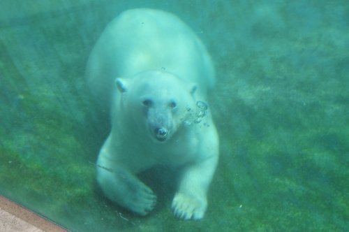 ６月２０日～とくしま動物園・ポロロ～開園から１２時台まで