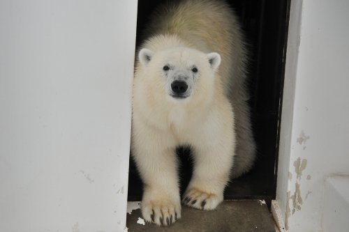 ６月２２日～熊本市動植物園・マルル～１１時台から１３時台まで