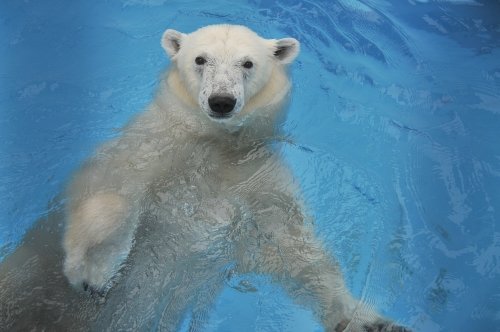 ６月２２日～熊本市動植物園・マルル～１３時台から閉園まで