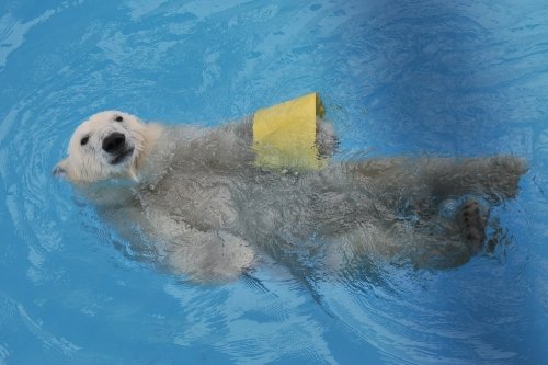 ６月２３日～熊本市動植物園・マルル～１３時台から閉園まで