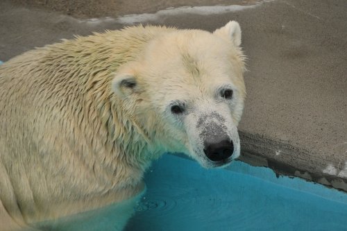 ８月２４日～浜松市動物園・キロル～１２時台から閉園まで