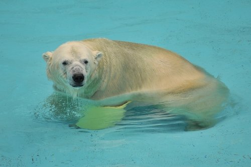 ８月２１日～浜松市動物園・キロル～１０時から１３時台まで