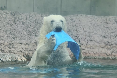 ９月２０日～昨日のポロロ