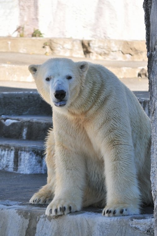 １２月９日～浜松市動物園・キロル～開園から１２時台まで