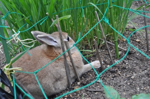 誰かたすけて～～～