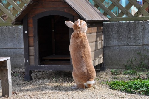 はしってる　ぶれてる