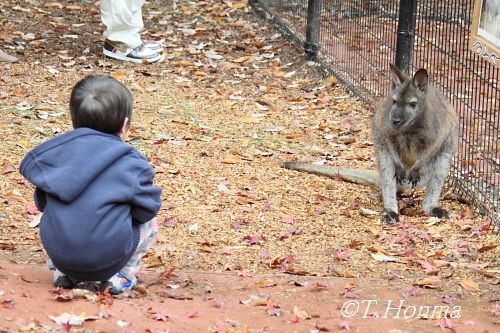 埼玉こども動物自然公園