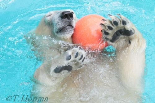 １０月２３日　浜松動物園　１１時半から