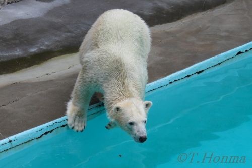 １０月２３日　浜松動物園　キロル　１２時から