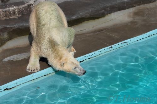 キロル　浜松　１０月２３日　１３時から