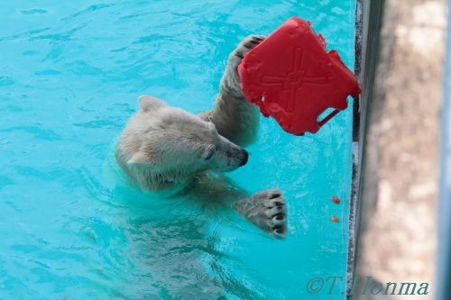 キロル　浜松　１０月２３日　１３時からその２