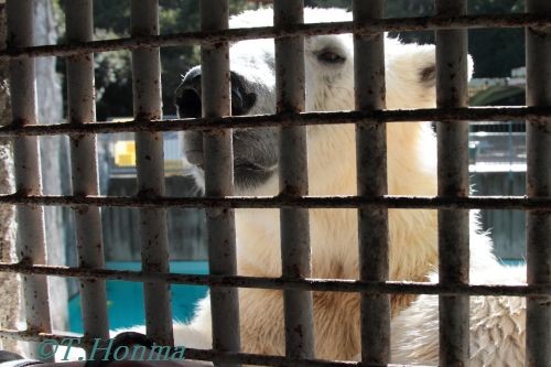 サポーター会員イベント　動物園裏側探検隊ラスト　１１月２７日　浜松