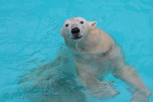 11月２３日　キロル　浜松　おやつタイム