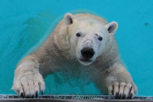 11月２４日　キロル　浜松　水が出てませんよー