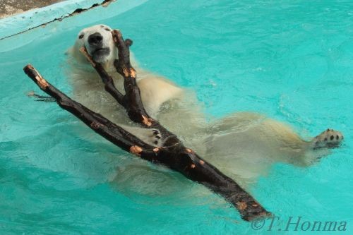 ２月４日　キロル　浜松市動物園