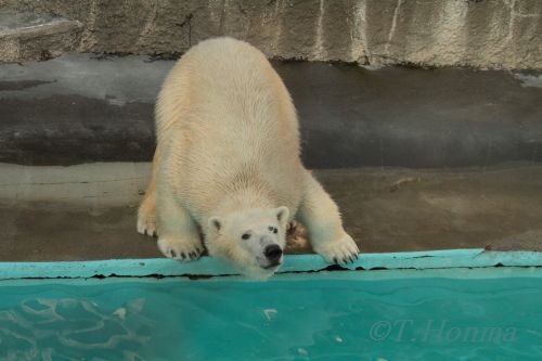 ２月４日のキロル　おやつタイム　浜松市動物園