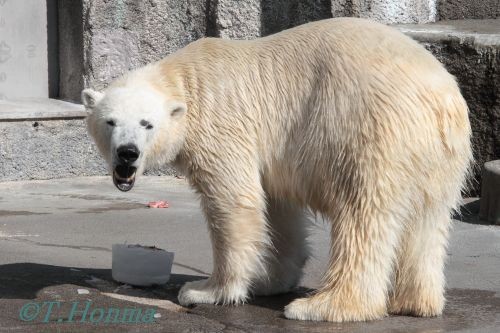 ２０１２年２月５日　キロル　浜松市動物園　１１時台その２