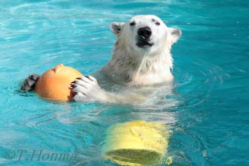 ２０１２年２月５日　キロル　浜松市動物園　12時台