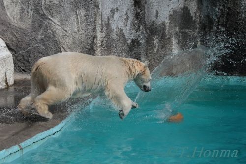 ２０１２年２月５日　キロル　浜松市動物園　12時台その２