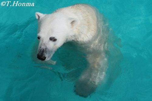 ４月１５日　キロル　朝一