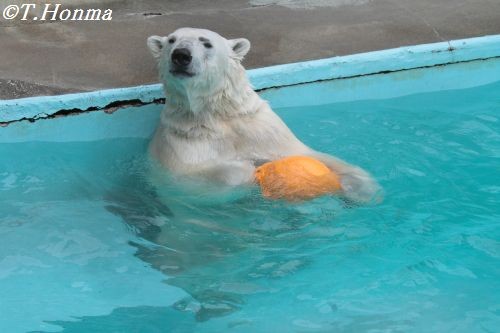 ４月１５日　キロル　～１５時