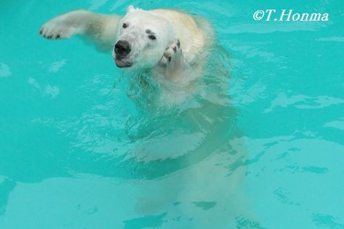 キロル　浜松　4月30日　閉園まで