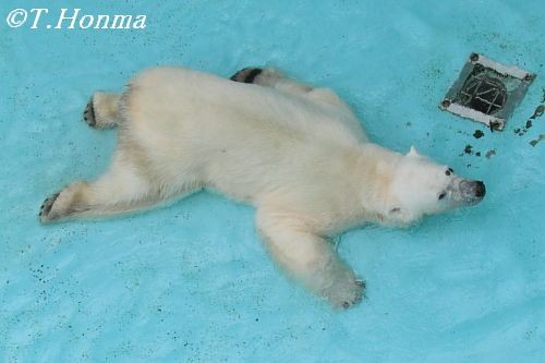 ＧＷも後半戦　浜松市動物園　キロル