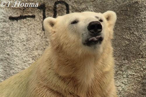 今日のキロル　６月２３日