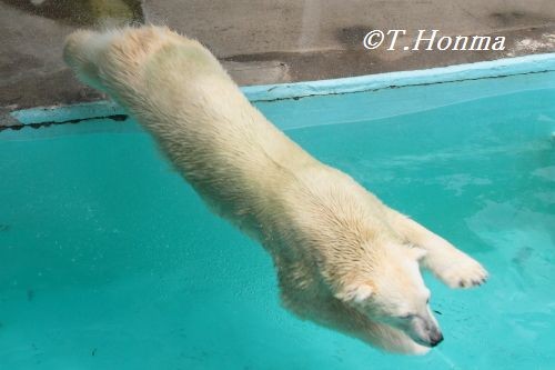 キロルのボウル遊び　その2/4  ６月２３日