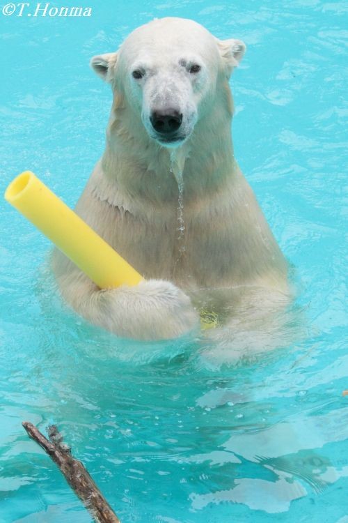 ７月５日　１２時台キロルの筒遊び