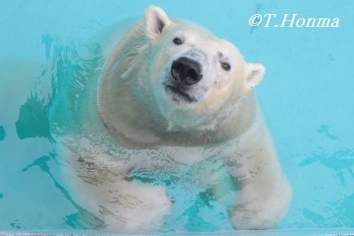 こいとキロル　9月23日浜松市動物園