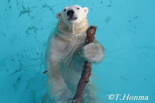 今日のキロル10月７日　浜松市動物園