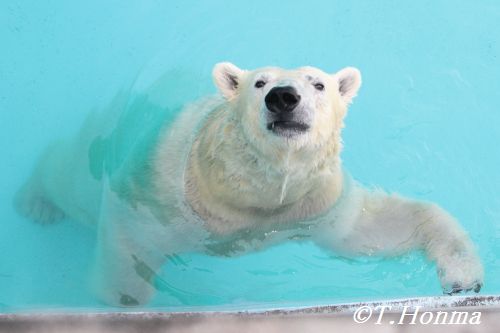 10月8日のおやつタイム　浜松市動物園　キロル