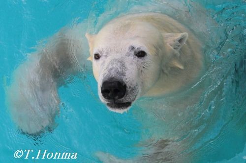 2０12年11月4日　昨日のキロル