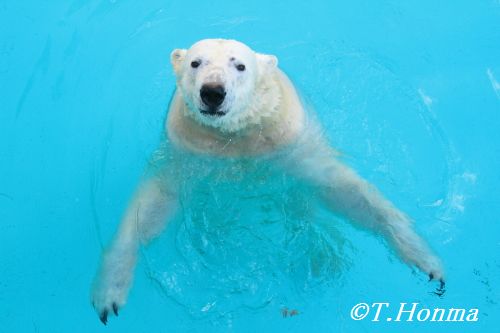 キロルのＨａｐｐｙクリスマス　12月24日浜松市動物園