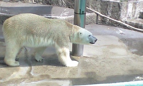 ４月２９日浜松市動物園