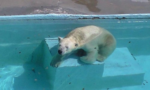 １５日は行けませんが