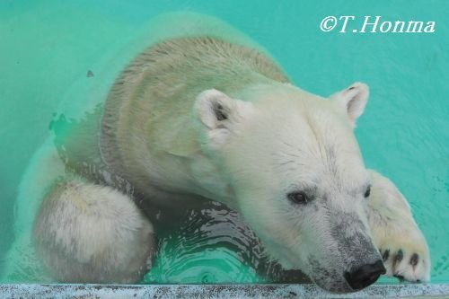 7月28日のキロル　プチおやつの後