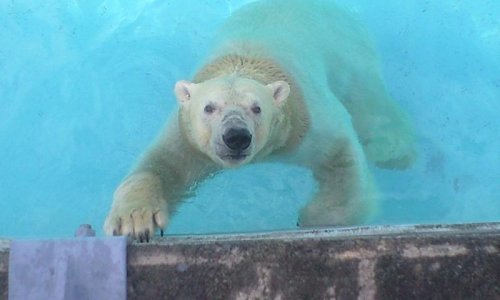 まだ暑い浜松