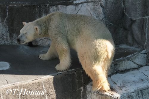 10月キロル　昨日の浜松市動物園