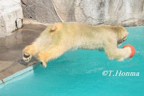 10月2日のキロル　閉園まで